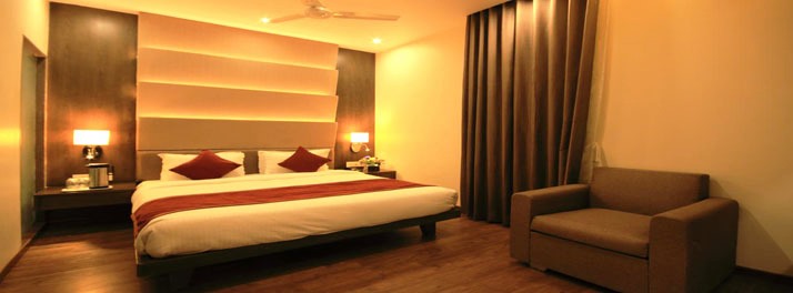 1738/Naeeka Hotel - Ahmedabad 11.jpg